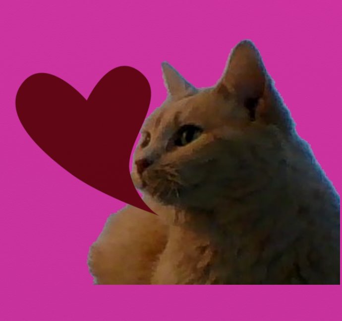 Cat with Heart for Valentine's Day on left