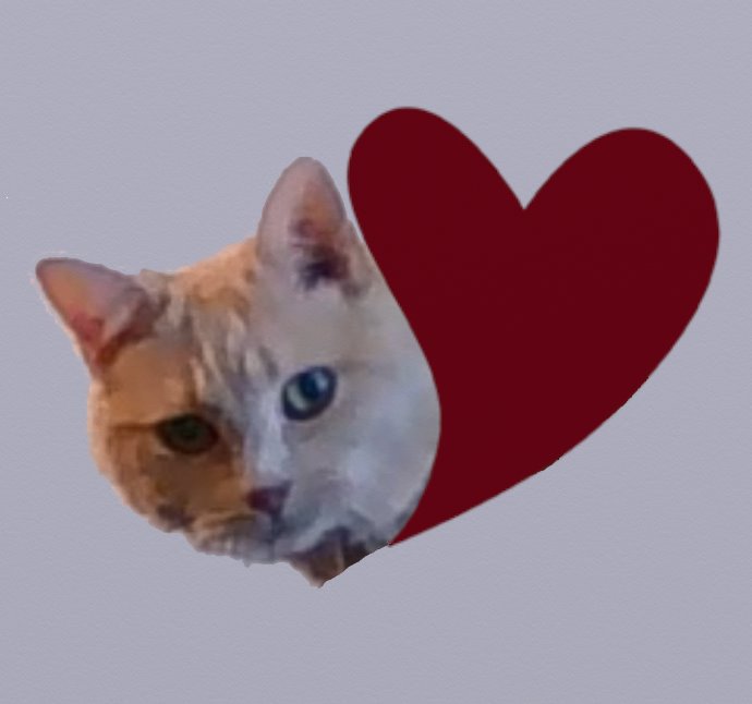 Cat with Heart for Valentine's Day on right